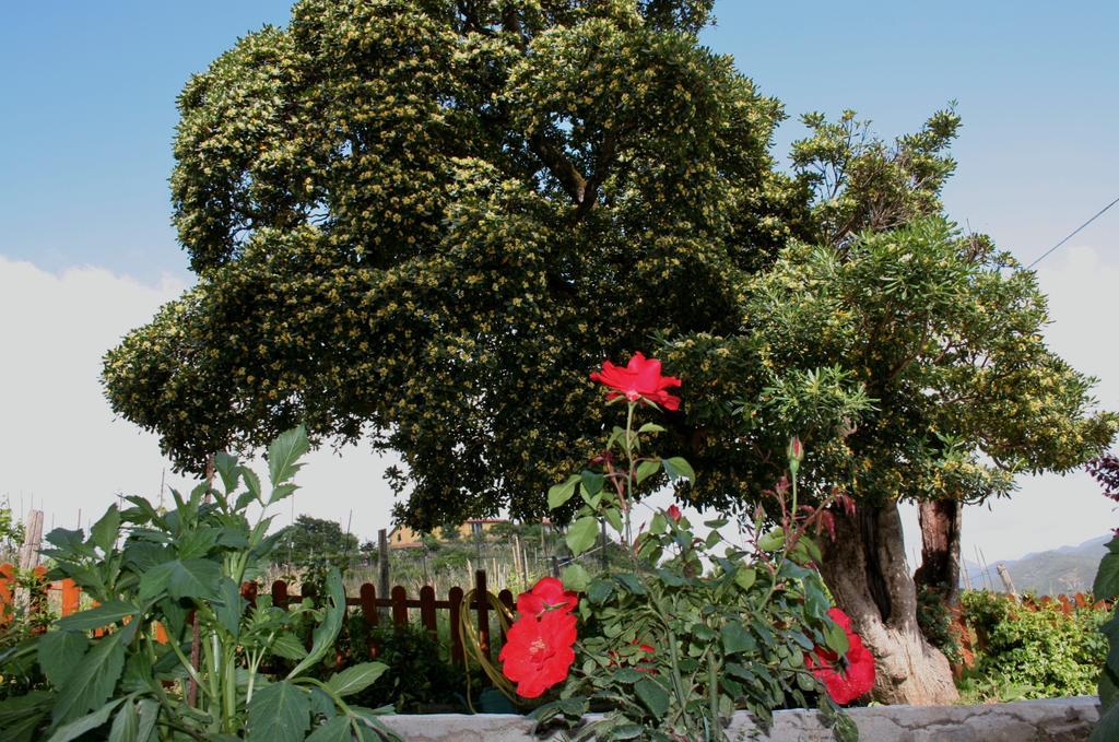 Bed and Breakfast Ca De Pria Casarza Ligure Exterior foto
